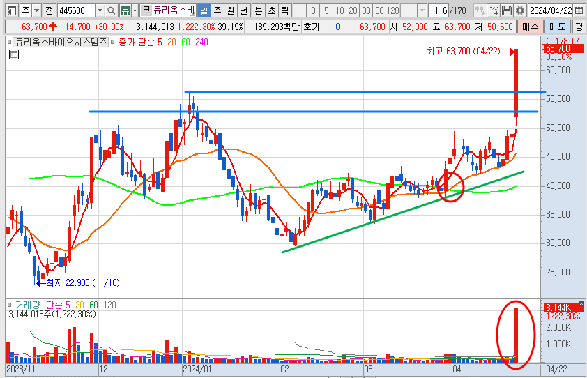 큐리옥스바이오시스템즈 주가 일봉 차트 분석