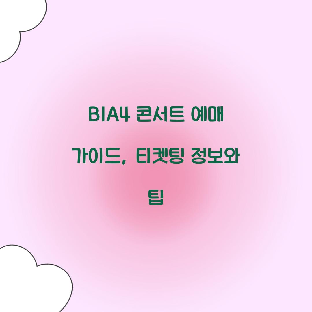 B1A4 콘서트 예매