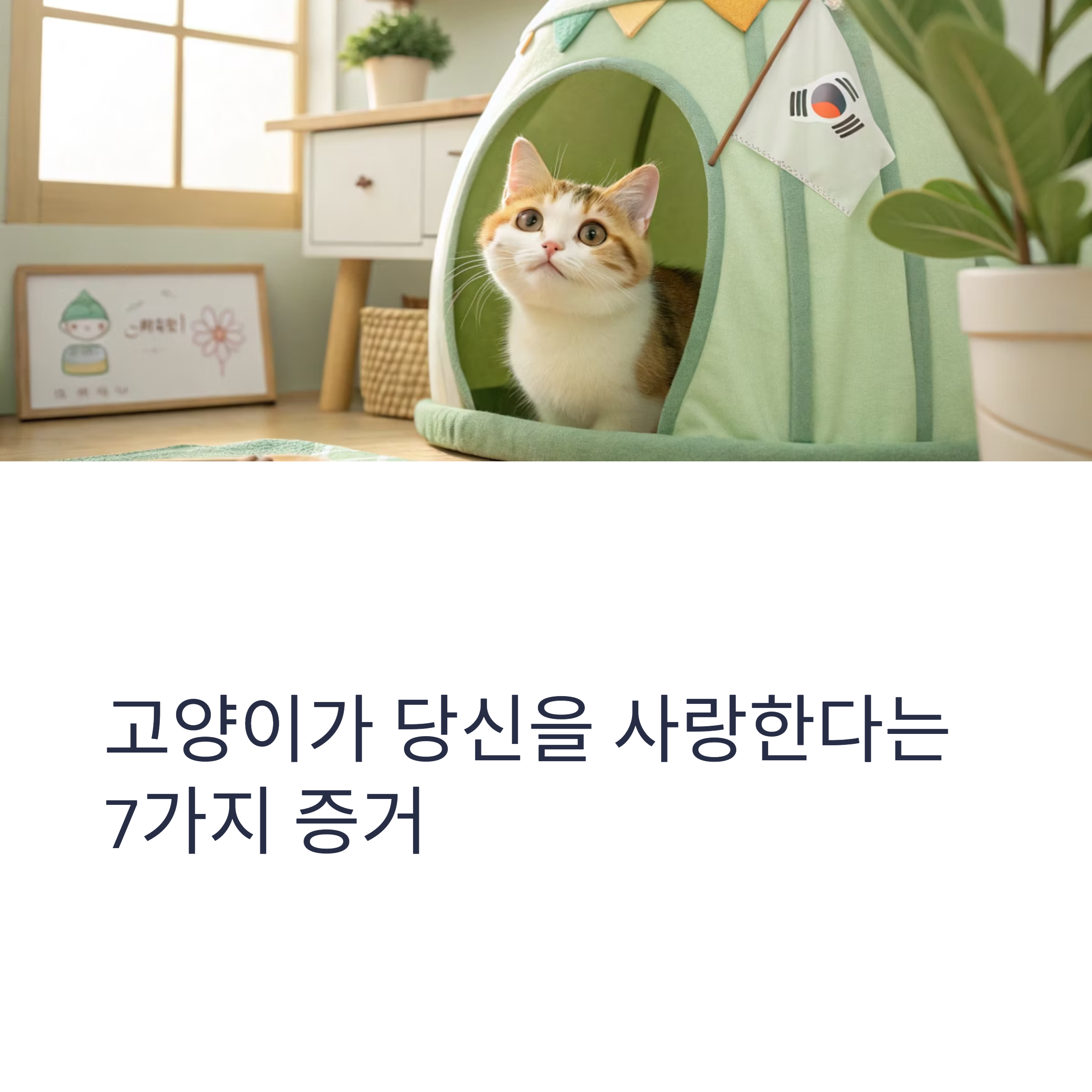 고양이가 당신을 사랑한다는 7가지 증거
