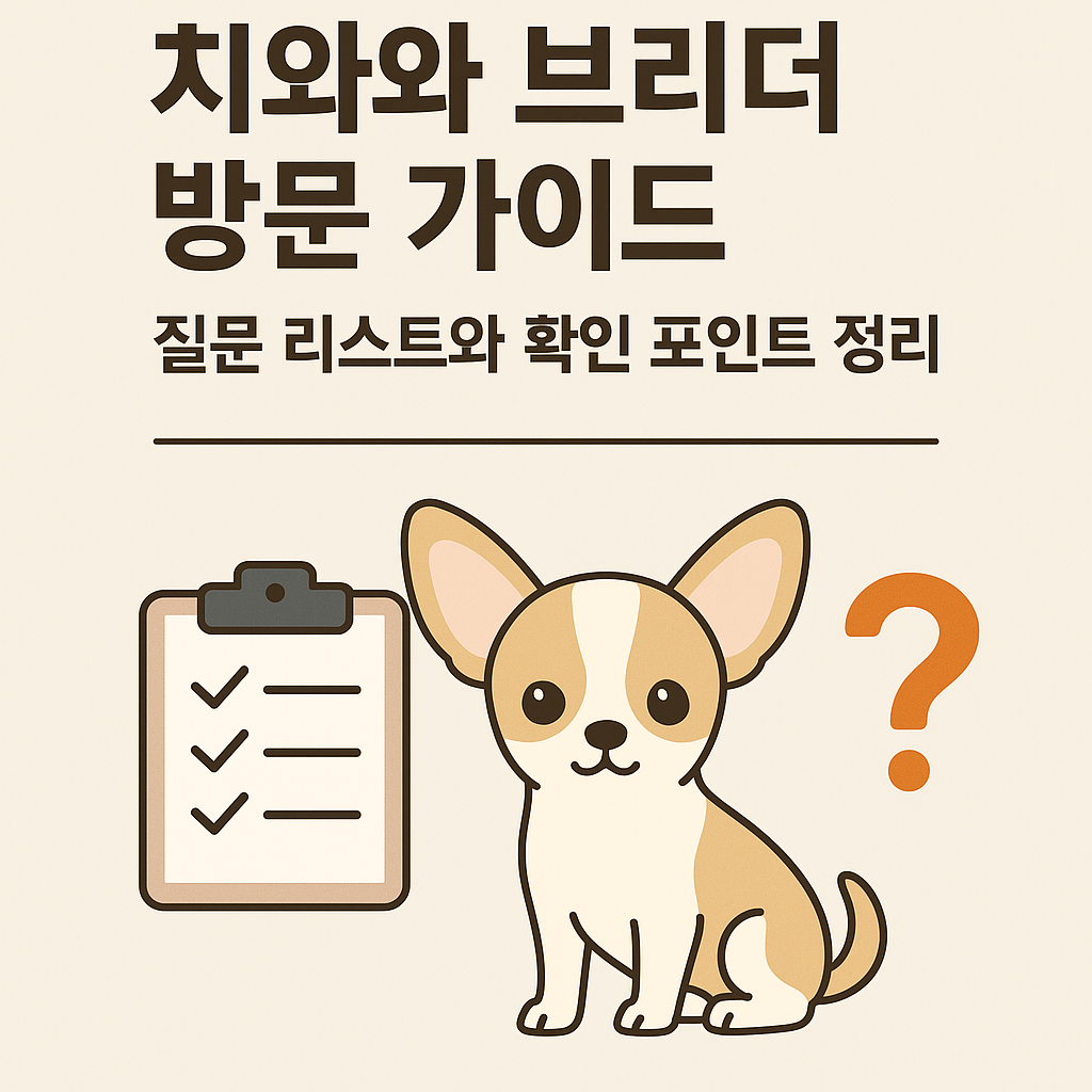 치와와 브리더 방문 가이드