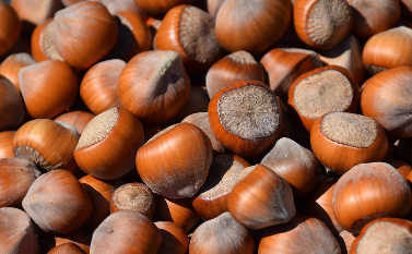 관절염에 좋은 음식과 영양소