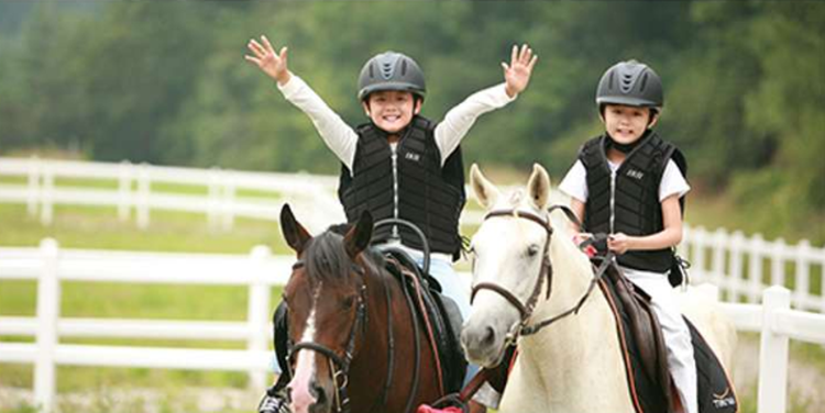 대관령 하늘목장