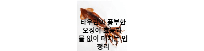오징어