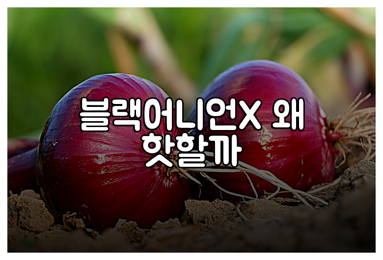 블랙어니언X 왜 핫할까