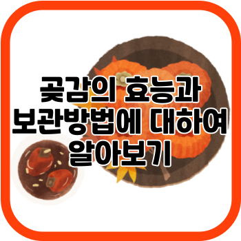 곶감의 효능과 보관방법에 대하여 알아보기