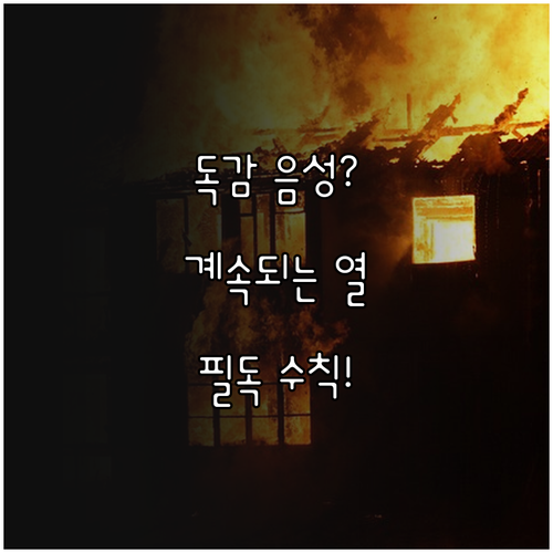 독감 음성 후 지속되는 열 내리는 생..