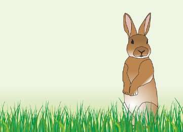 2026년 병오년 토끼띠 신년운세