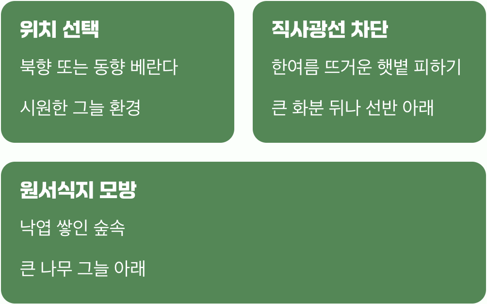 자연 속 보금자리 흉내 내기