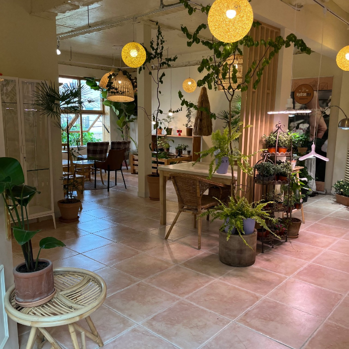 봉봉농원 묘목카페 생방송 오늘 저녁