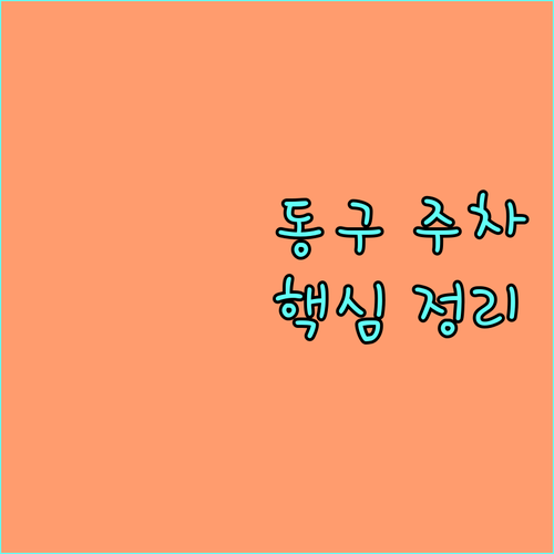 광주 동구 1월 주요 명소별 주차 정..
