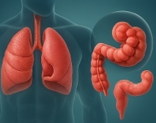 마카다미아의 효능