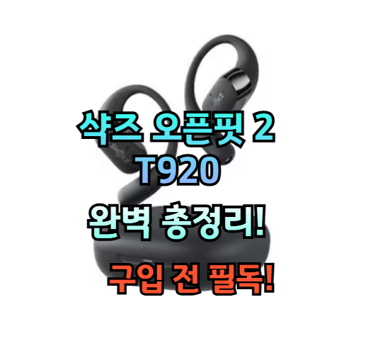 샥즈 오픈핏 2 T920