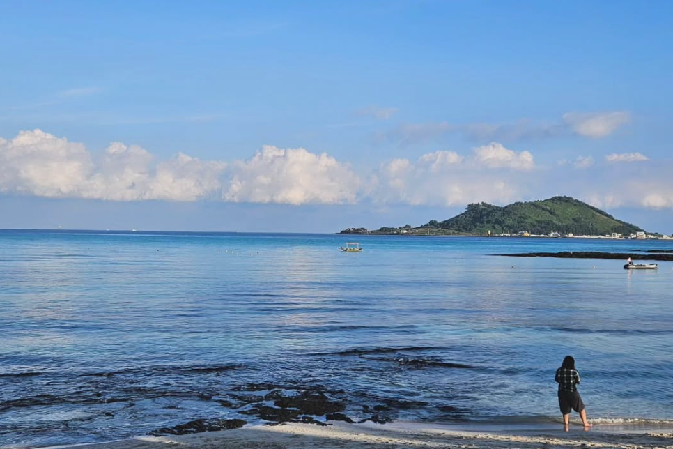 국내 해수욕장 개장일