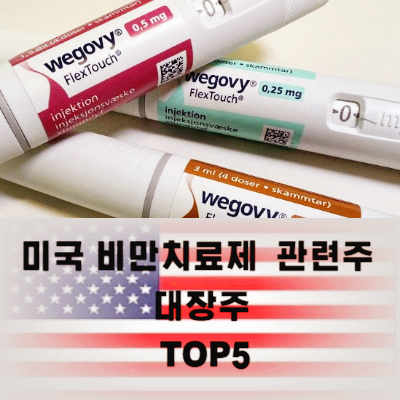미국 비만치료제 관련주 대장주 테마주 TOP5