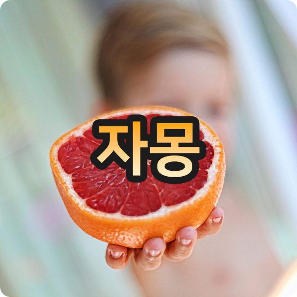 자몽효능