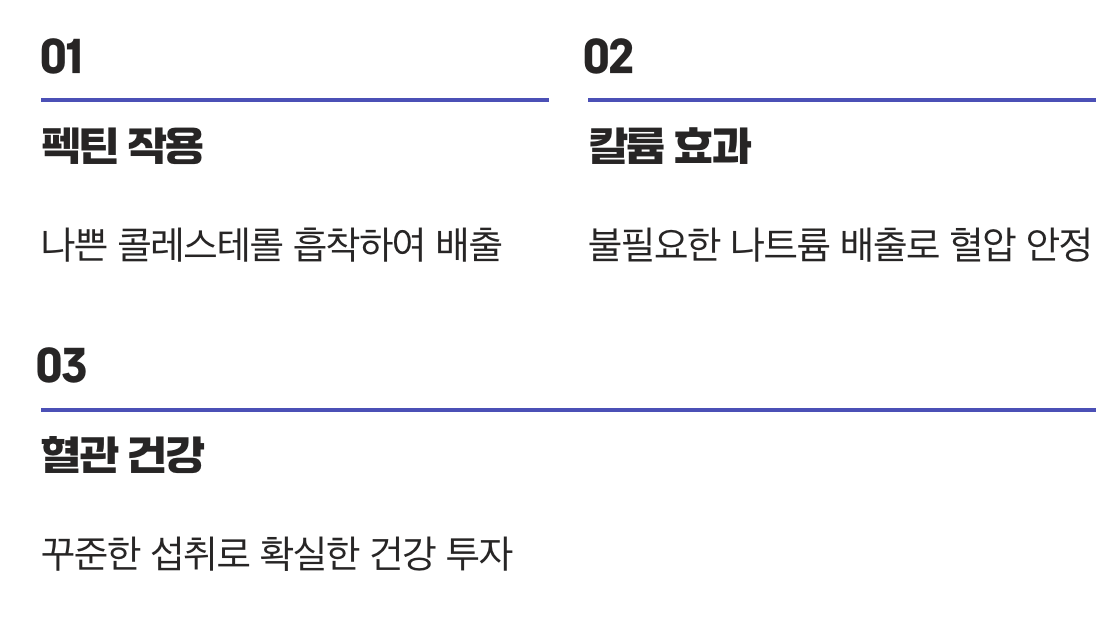 4. 혈관 속 노폐물을 씻어내는 청소부