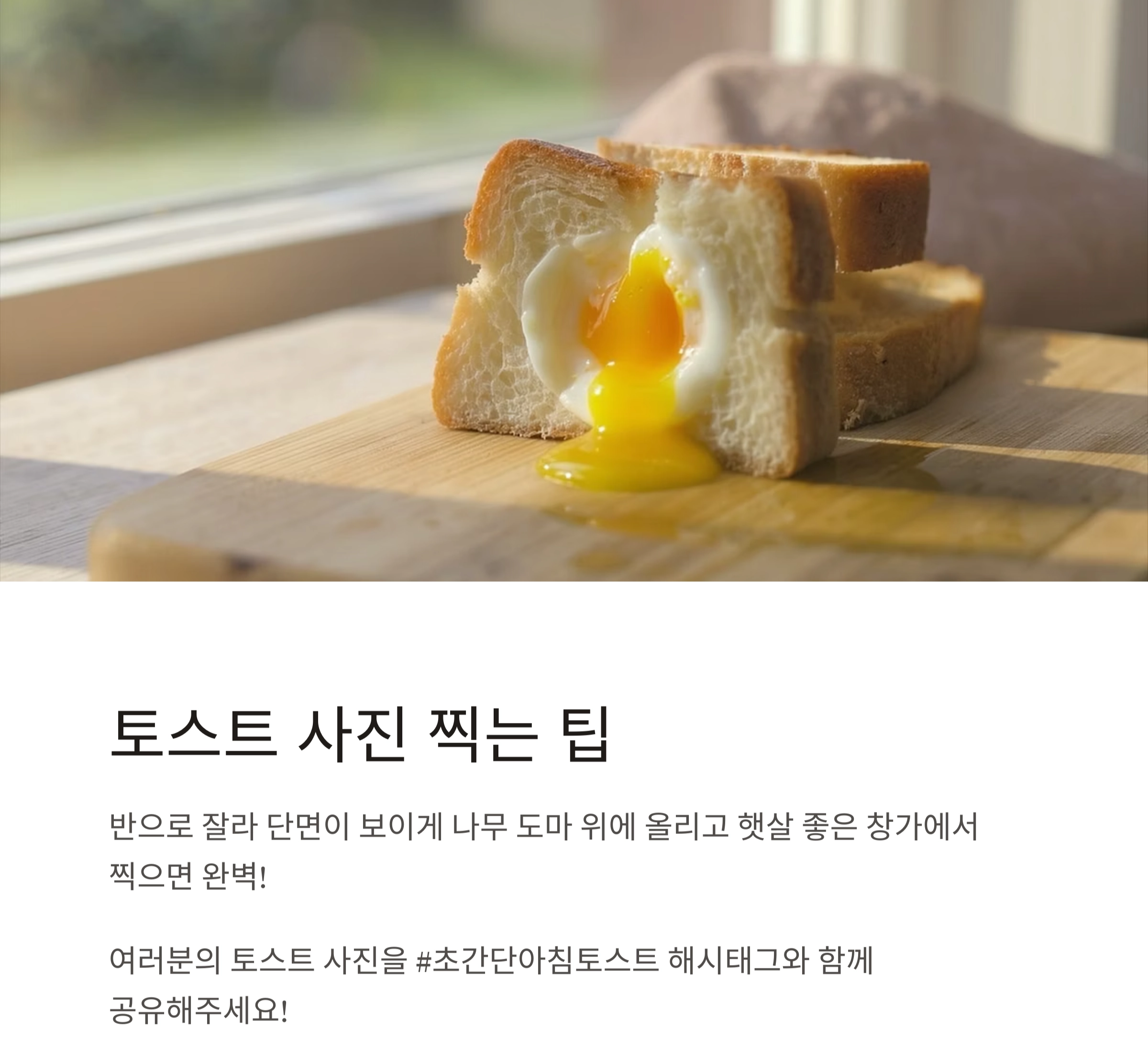 식빵과 계란만 있으면 OK! 초간단 아침 토스트 레시피 대공개