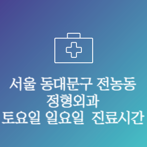 서울 동대문구 전농동 정형외과 주말 토요일 일요일 문여는 병원 진료시간