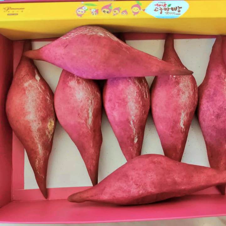 생활의달인 해풍 고구마빵 해남 맛집 달인 오늘 방송 맛집