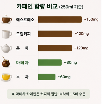 마테차-효능-다이어트-효과-카페인-부작용-추천-제품