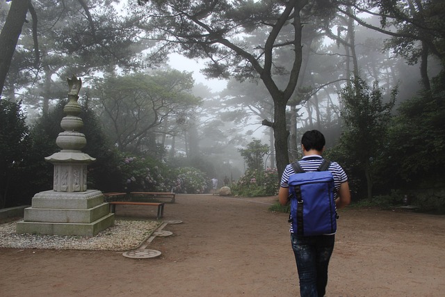사찰과 현대인의 조화에 관한 사진