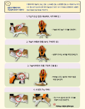 심정지 응급처치 메뉴얼