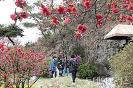 금산 홍도마을 제 14화 축제 기본일정과 특징 소개 