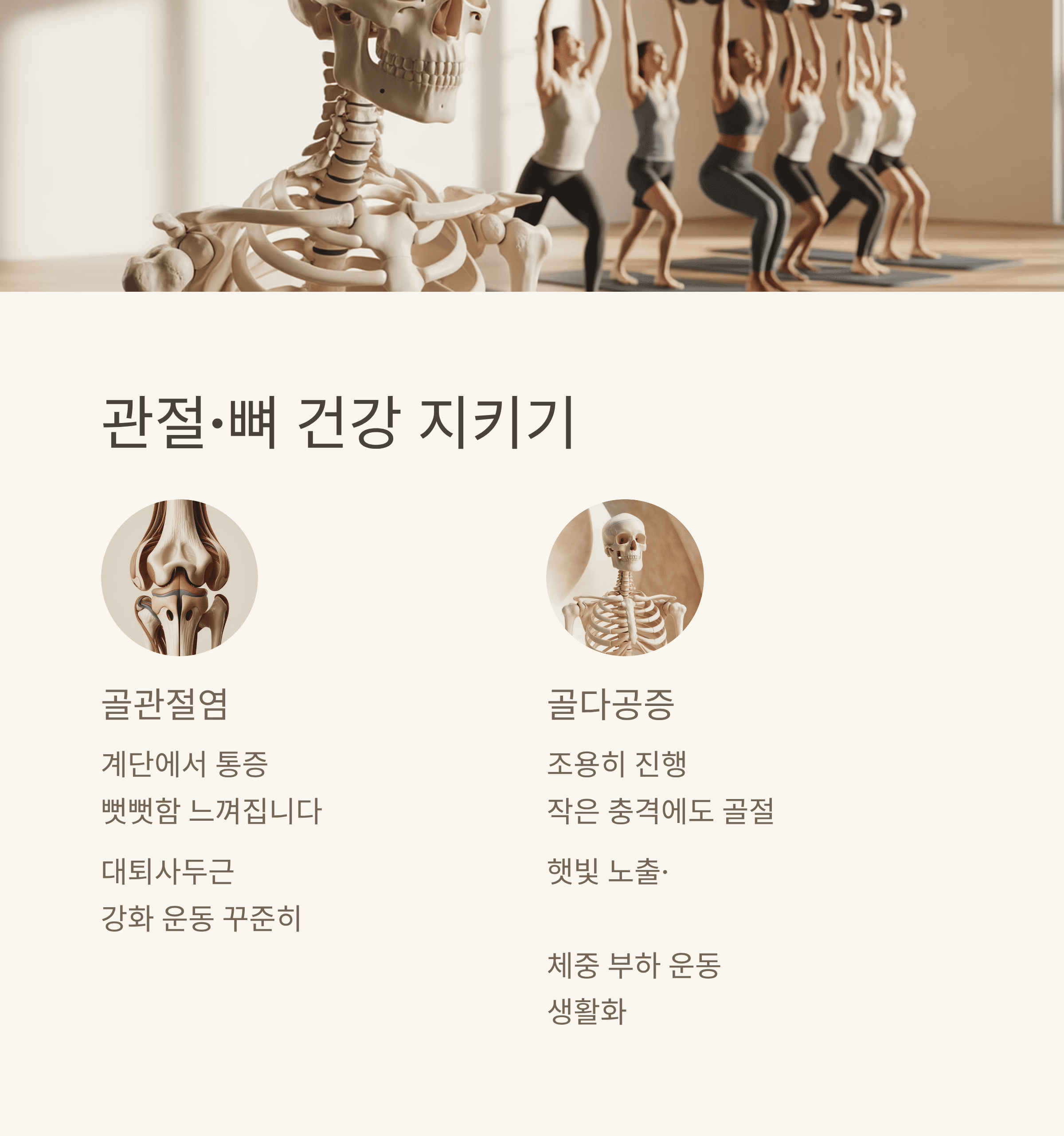 혈압 혈당 콜레스테롤 간 관절 대장까지 14일 플랜