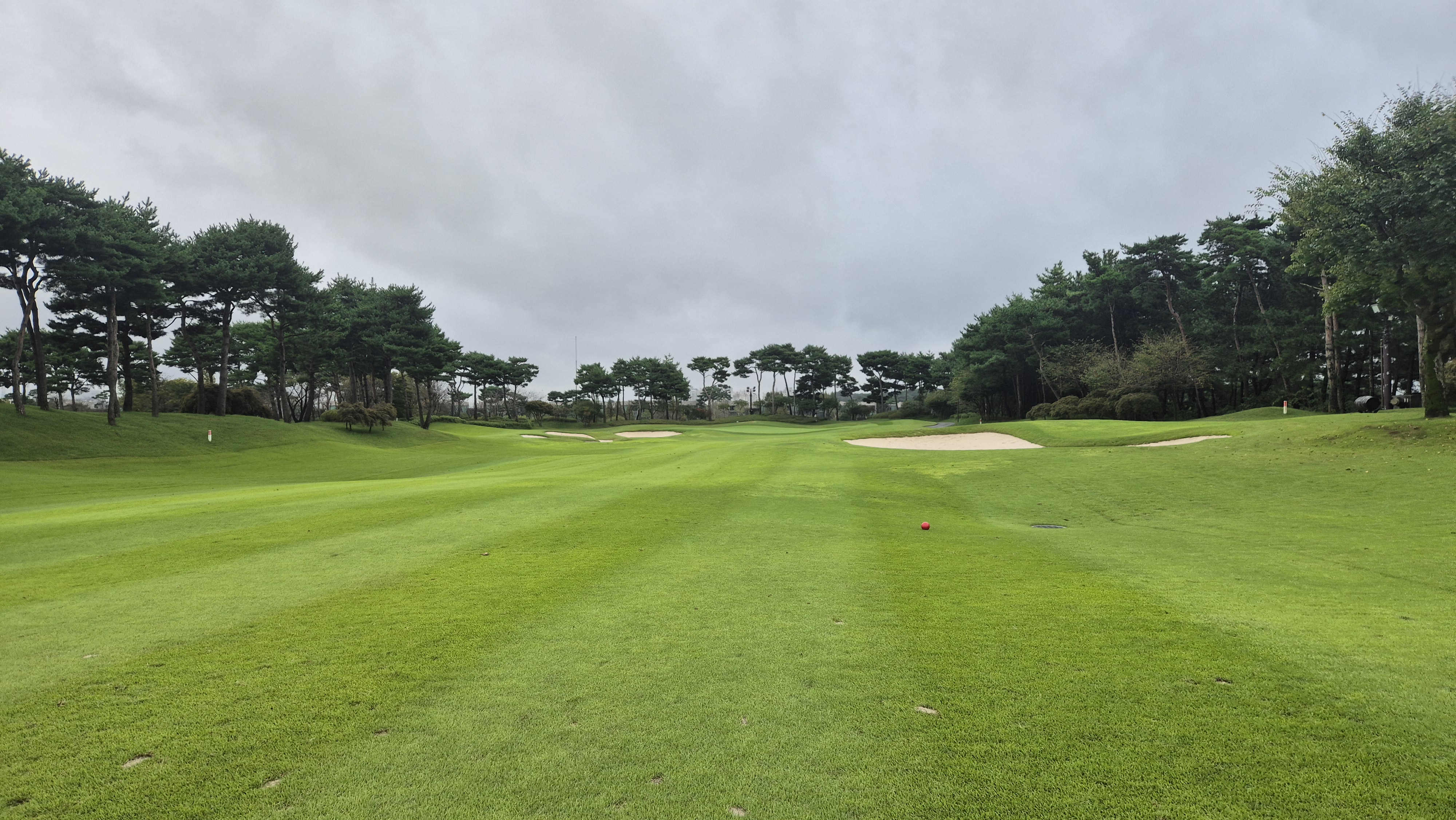 파인스톤cc 스톤 코스