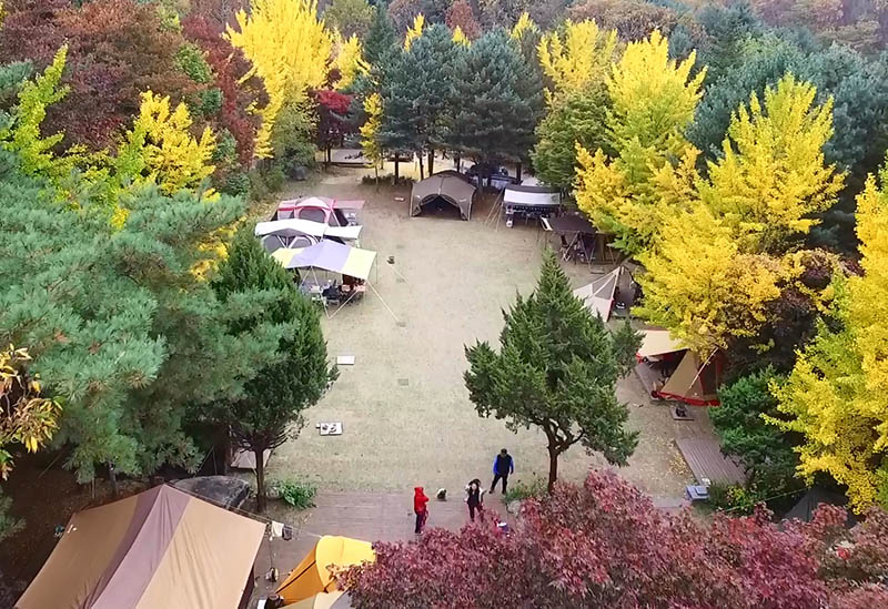 포천 캠프운악 캠핑장 소개