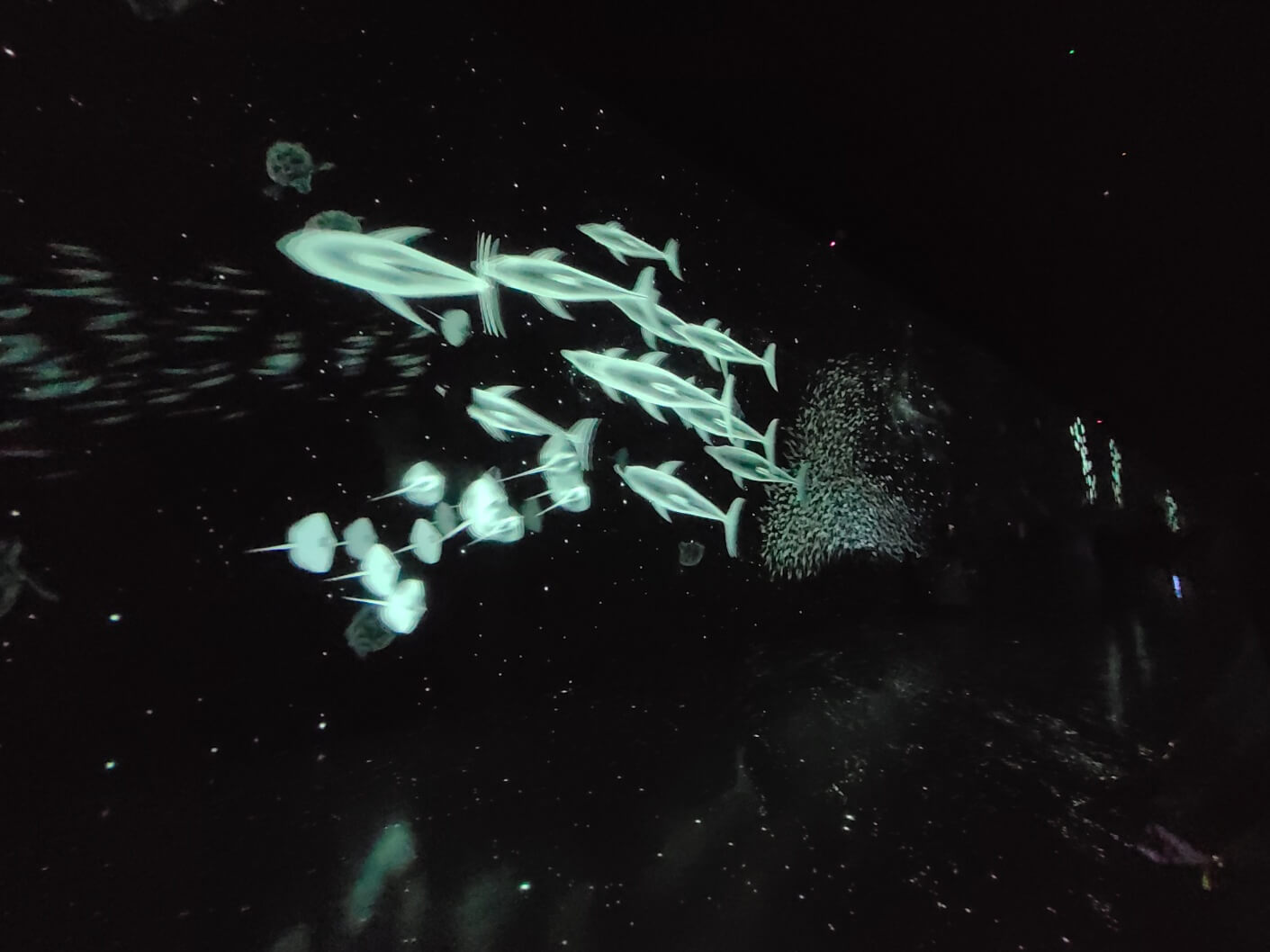 여수아르떼뮤지엄 미디어아트 바다2