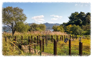 통영RCE세자트라숲