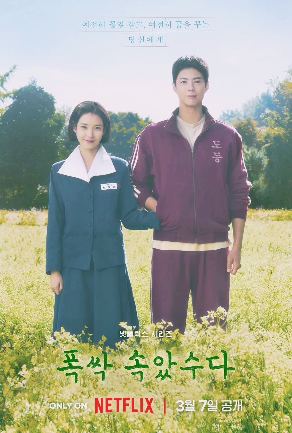 폭삭 속았수다 뜻