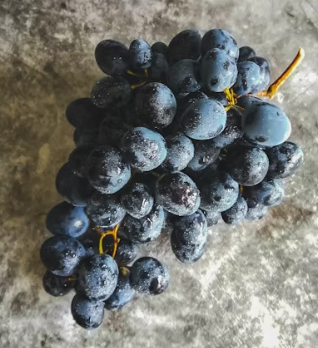 포도 효능 부작용