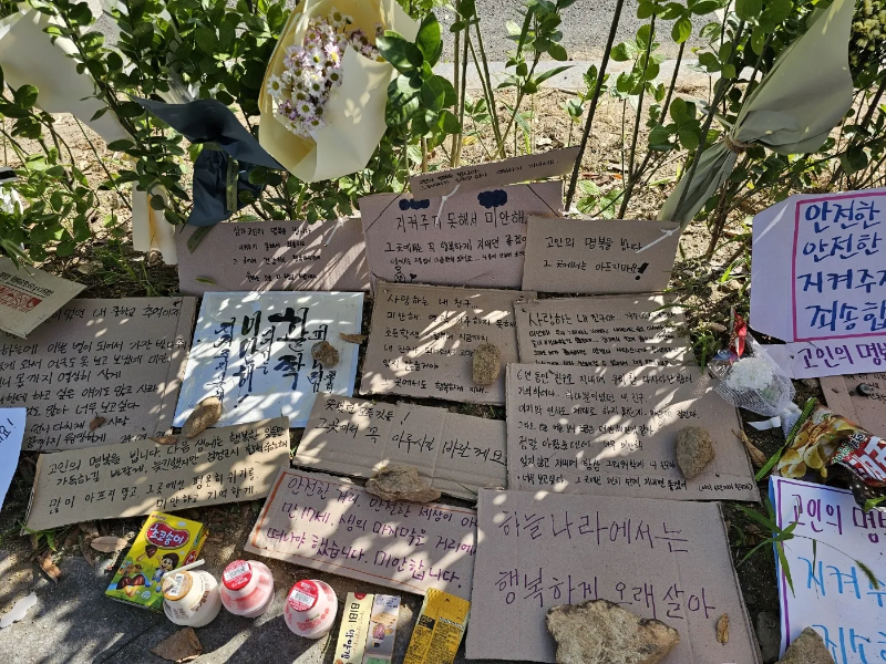 순천 조례동 지하보도 순천 시민 분향소