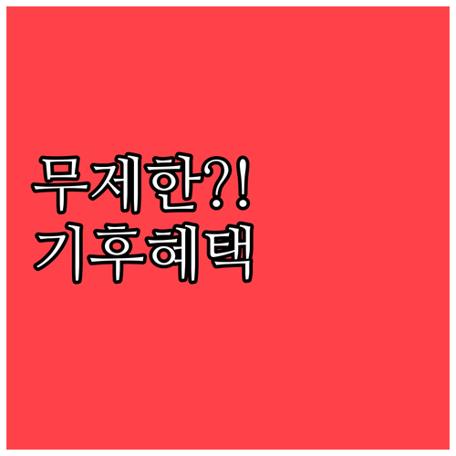 2026년 기후동행카드 무제한 환승 ..