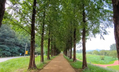 여름국내여행지