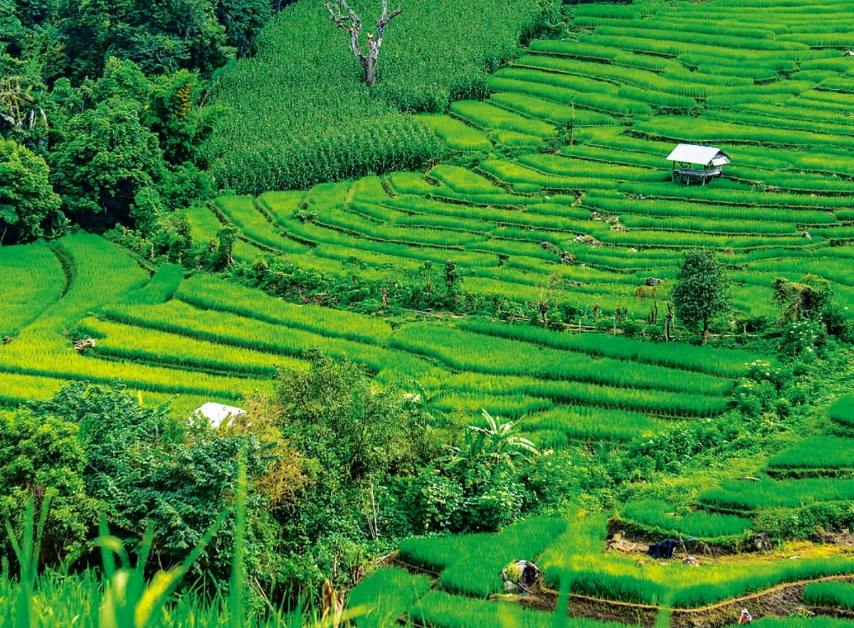 치앙마이 여행 3박 4일 일정_8