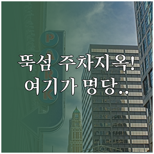 뚝섬 한강공원 주차장 만차 시 주변 ..