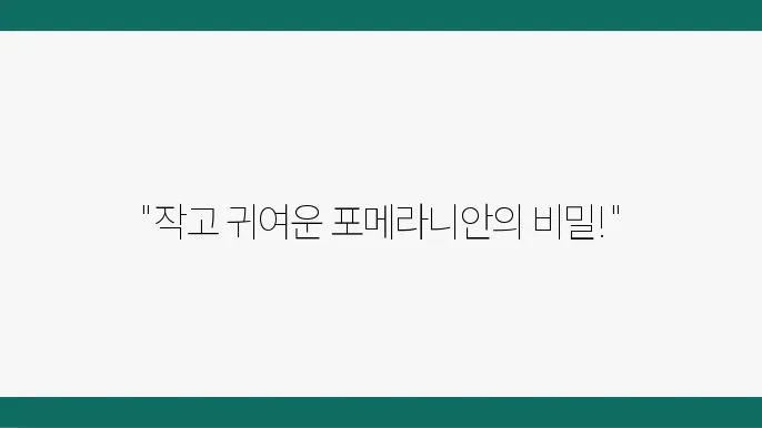 포메라니안의 건강과 관리에 대한 정보