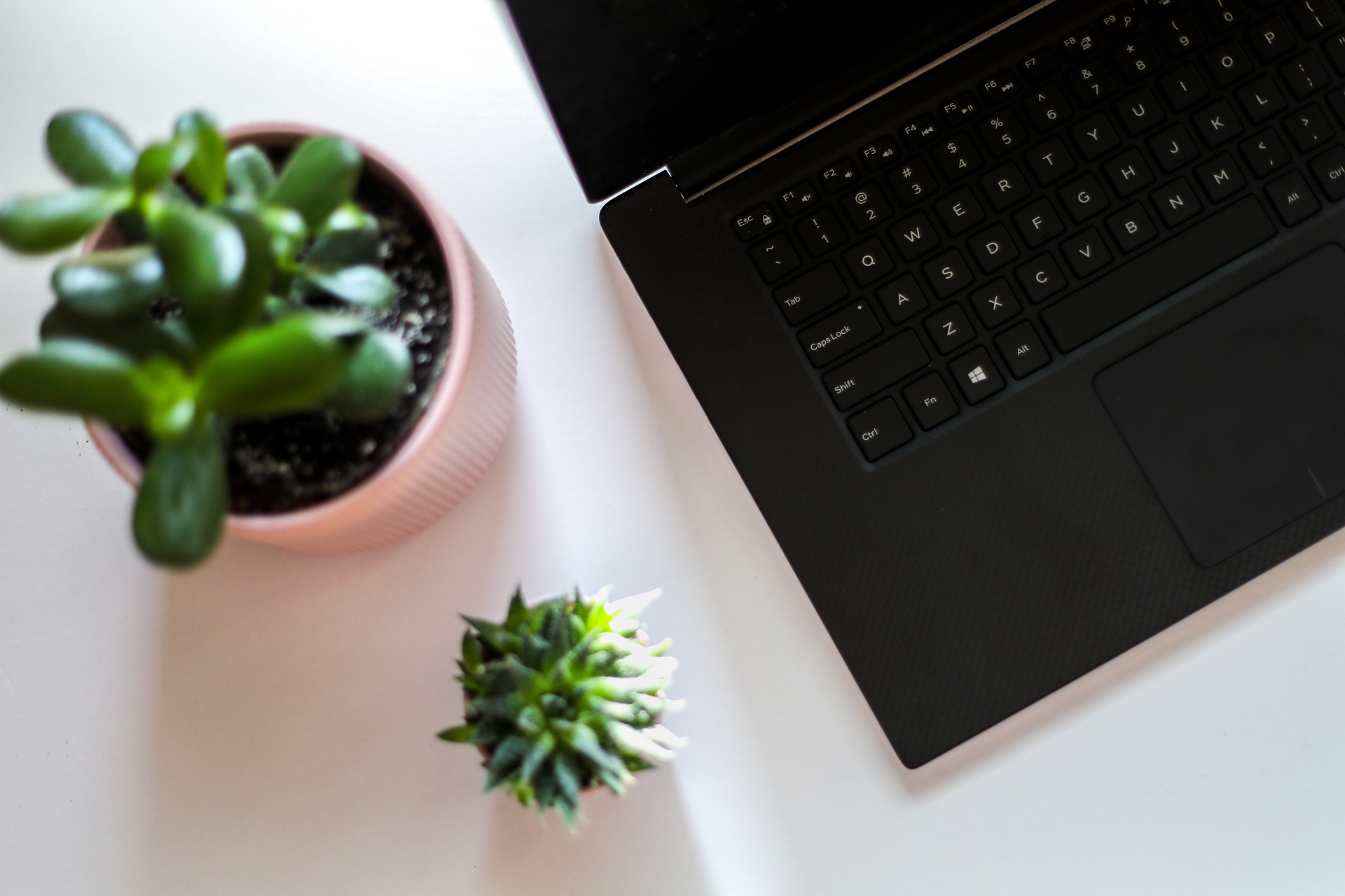 북유럽 제도 특성에 대한 사진