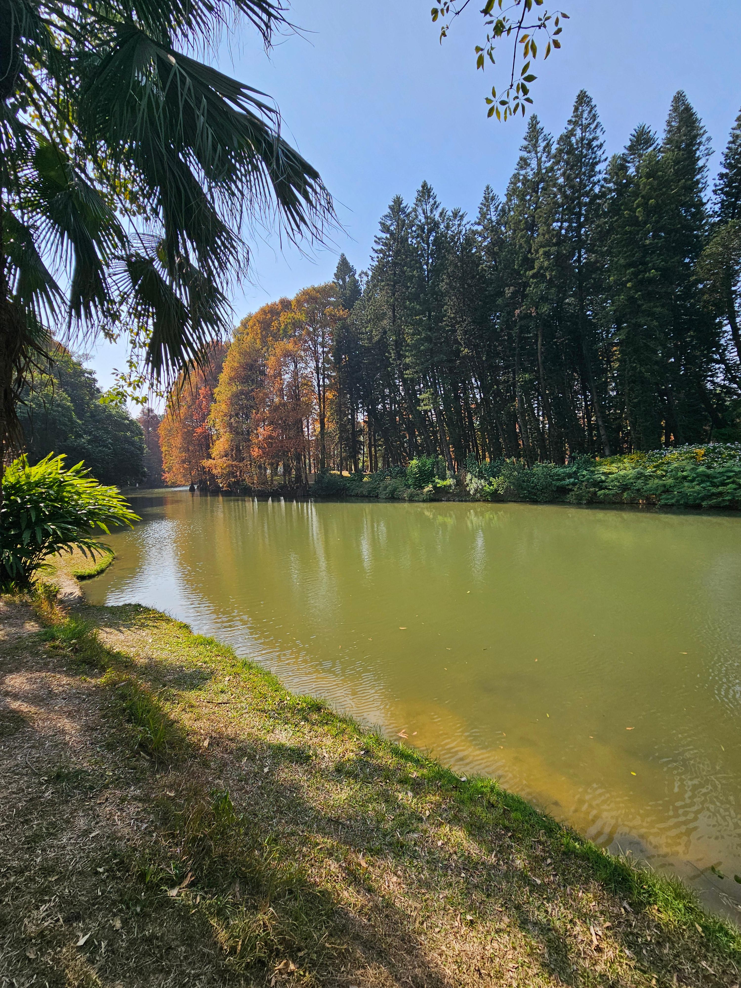 광저우 화남식물원