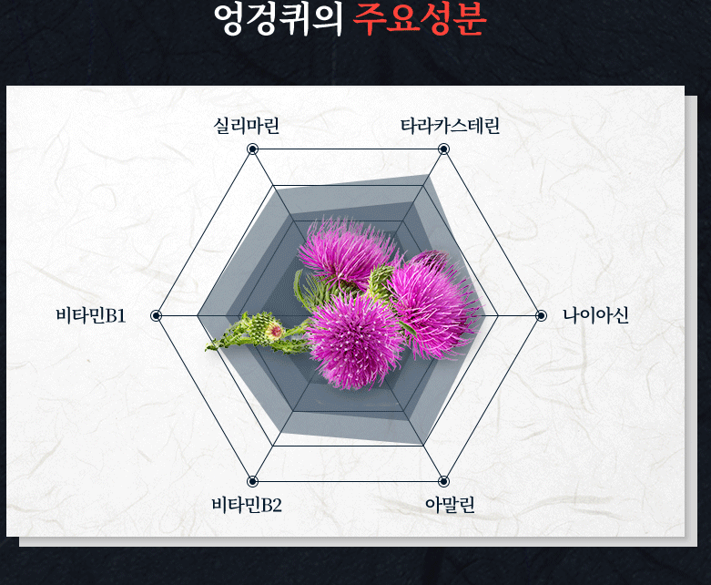 마가보감