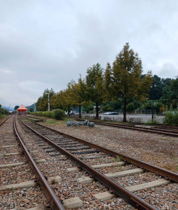 드디어 반환점 도착