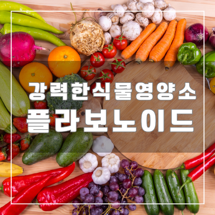 플라보노이드