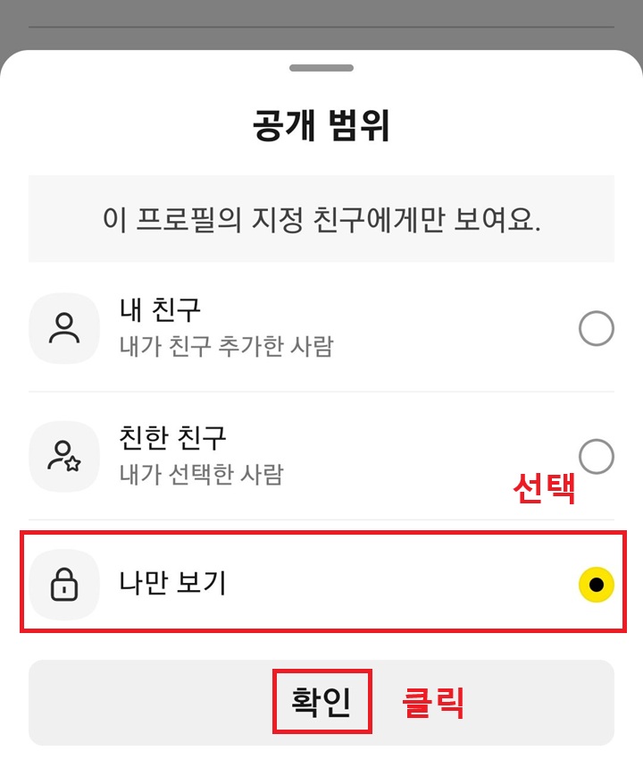 공개 범위 선택 창 보임