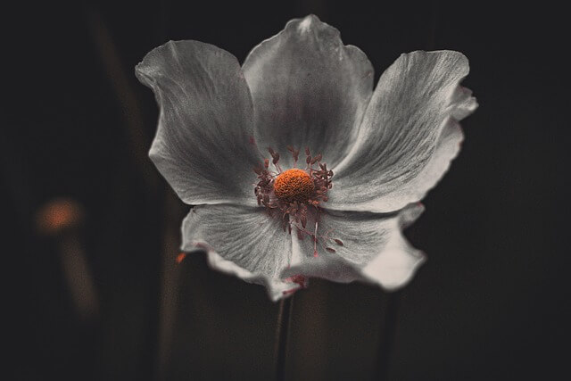 2025 울산불꽃축제 연기 날짜 및 일정