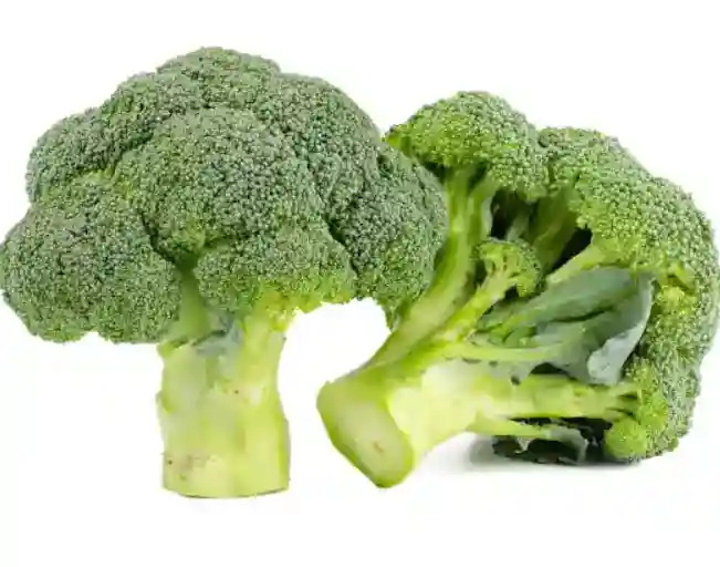 폐암 초기증상&amp;#44; 폐암에 좋은 음식 피해야 할 나쁜 음식