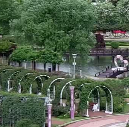 곡성 기차마을 장미축제