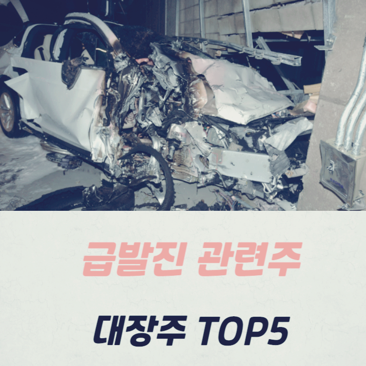 급발진 관련주 대장주 테마주 수혜주 TOP5